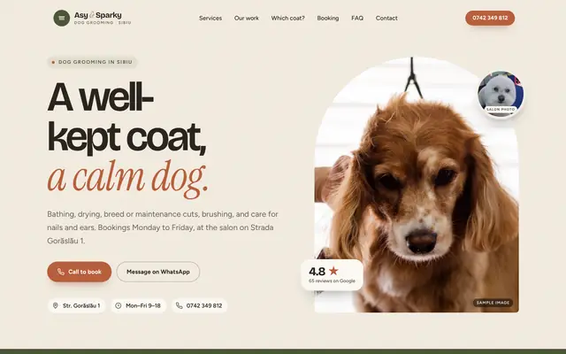 The Asy&Sparky website